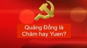 quang dong 10